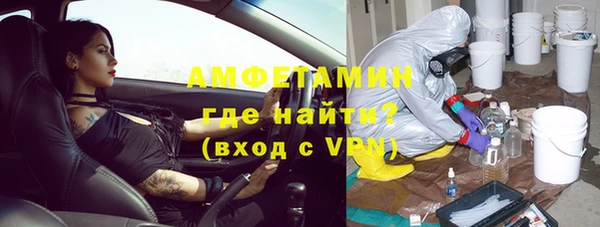 шишки Аркадак