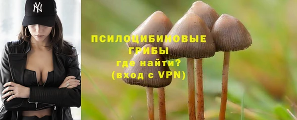 амф Арсеньев