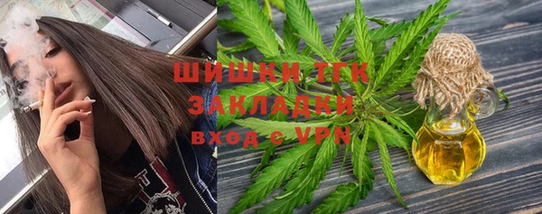 шишки Аркадак