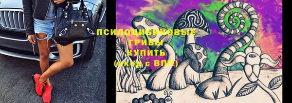 шишки Аркадак