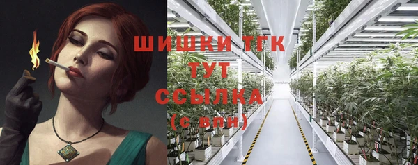 шишки Аркадак
