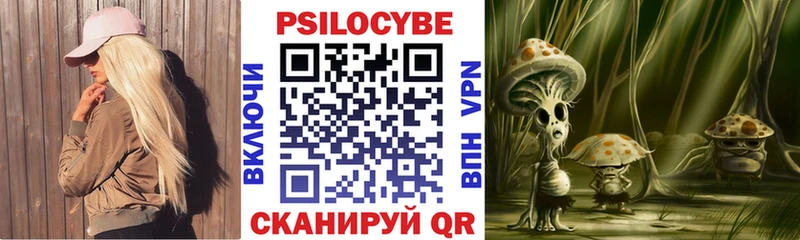 Галлюциногенные грибы мицелий  Снежногорск 